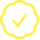 check-icon